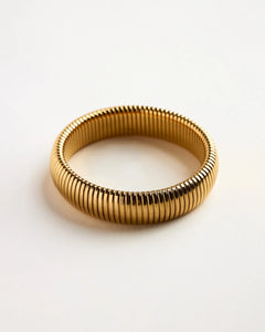 Brazalete Tareny